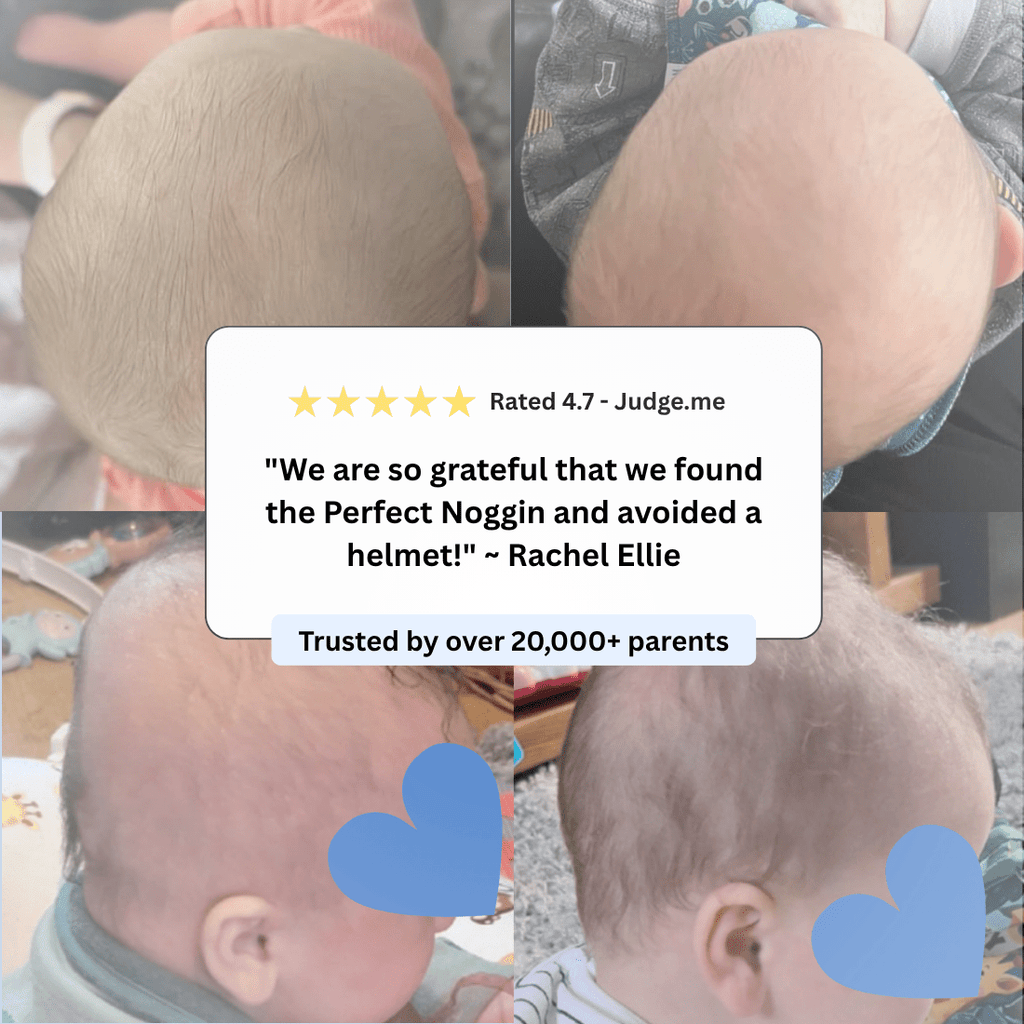 The Perfect Noggin - Perfect Noggin