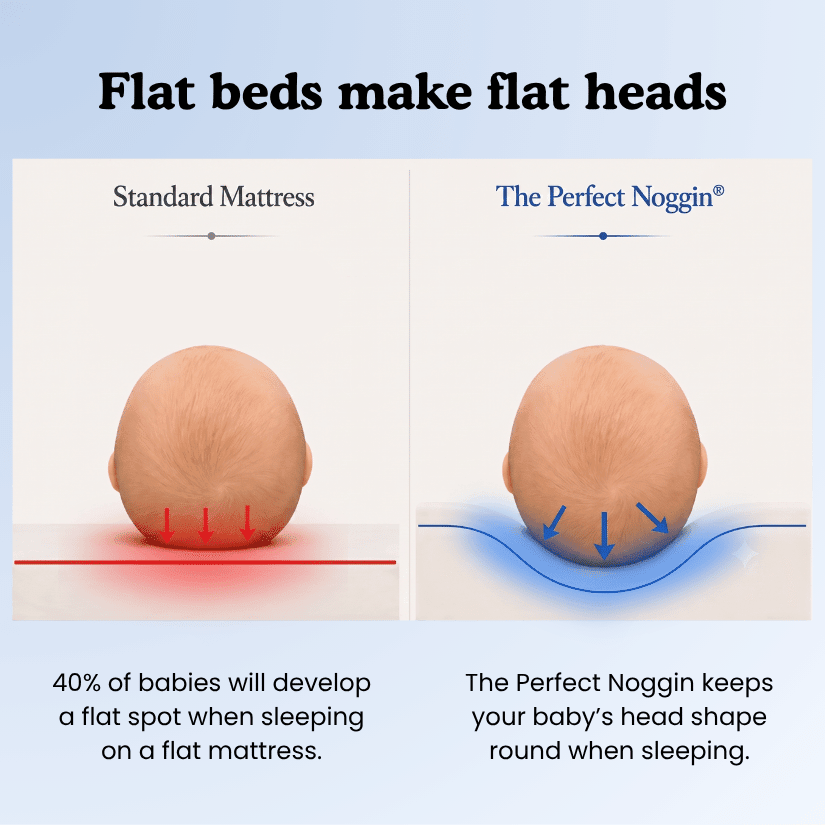 The Perfect Noggin - Perfect Noggin